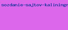 создание сайтов калининград